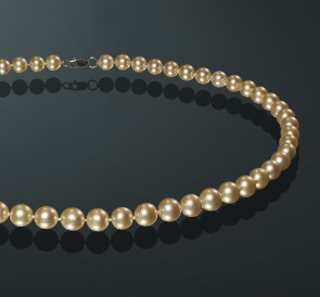 Ожерелье из жемчуга Акойя мз750-40з: золотистый морской жемчуг, золото 585°
